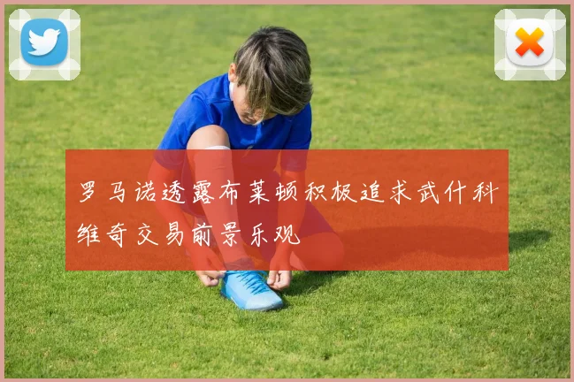 罗马诺透露布莱顿积极追求武什科维奇交易前景乐观