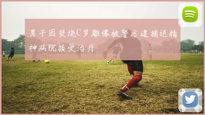 男子因焚烧C罗雕像被警方逮捕送精神病院接受治疗